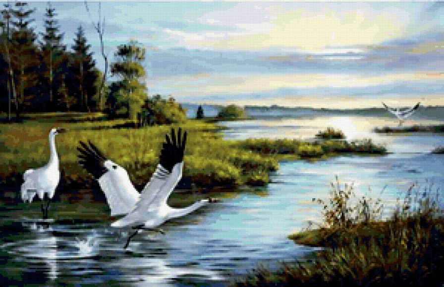 летний пейзаж - вода, деревья, природа, птицы, лето - предпросмотр