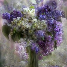 Схема вышивки «№314701»