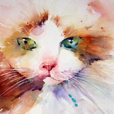 Схема вышивки «акварельный кот»