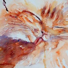 Схема вышивки «акварельный кот»