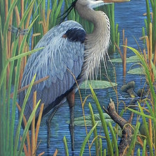 Схема вышивки «№314892»