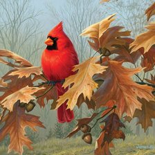 Схема вышивки «№314895»