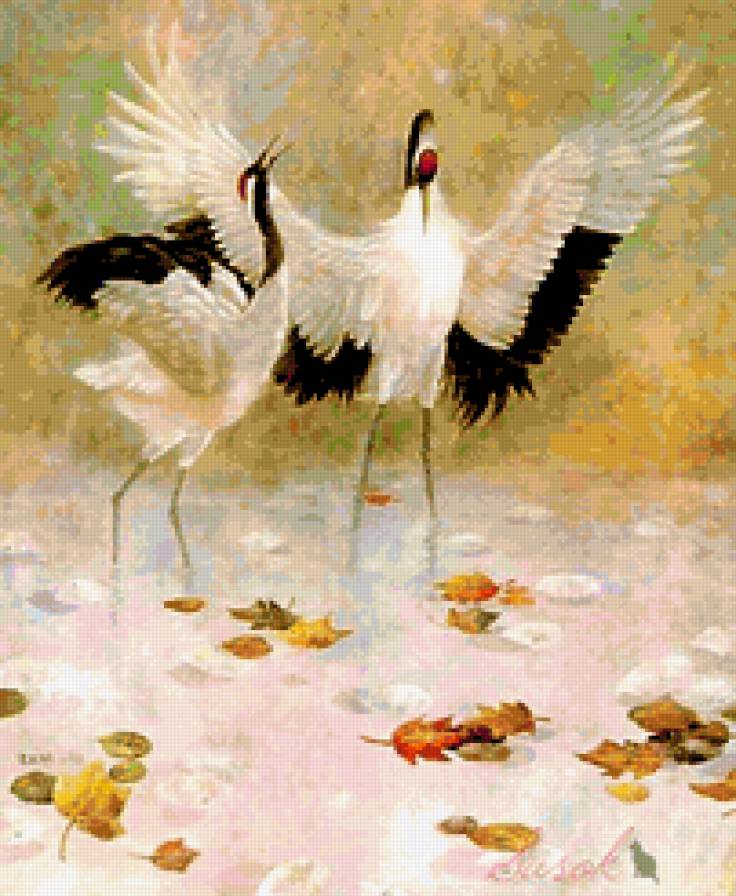 Брачные игры - пернатые - предпросмотр