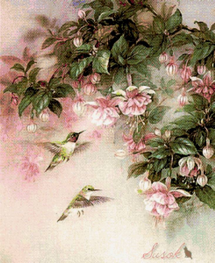 Калибри 1 - пернатые - предпросмотр