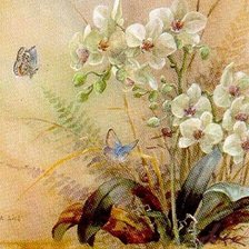 Схема вышивки «Орхидея»