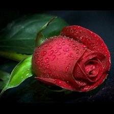 Схема вышивки «роза»