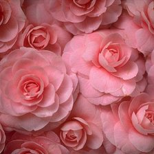 Схема вышивки «№315048»