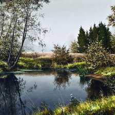 Схема вышивки «№315223»