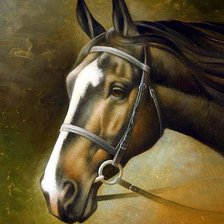 Схема вышивки «конь»