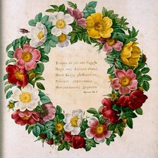 Схема вышивки «Венок из шиповников»