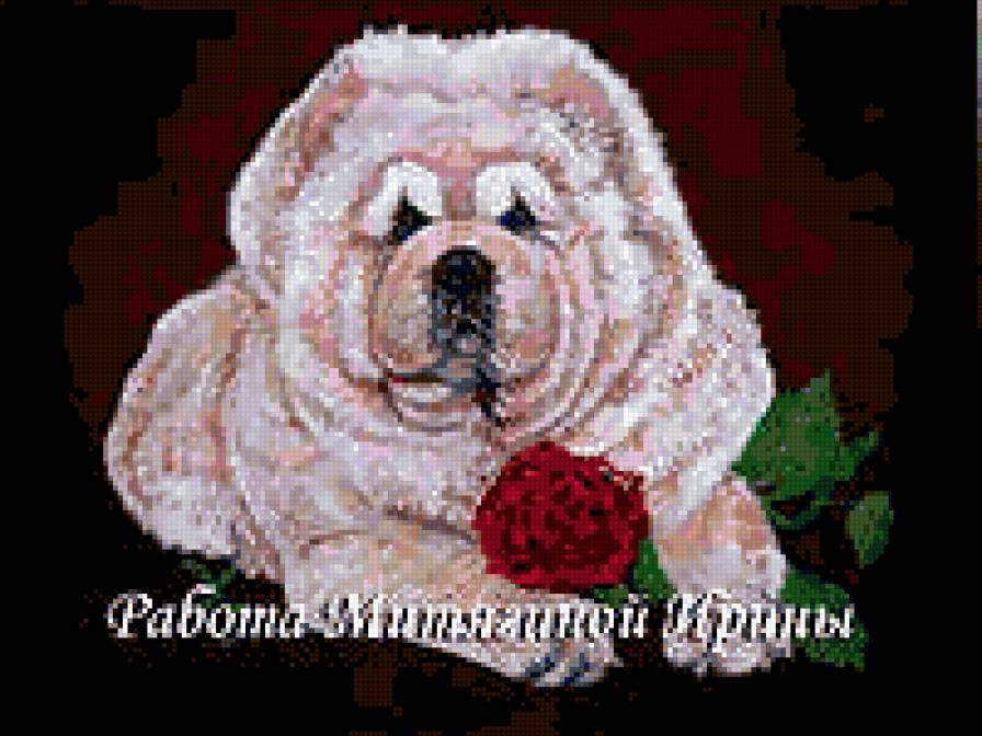 собачка - предпросмотр