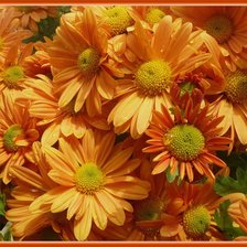 Схема вышивки «№315810»