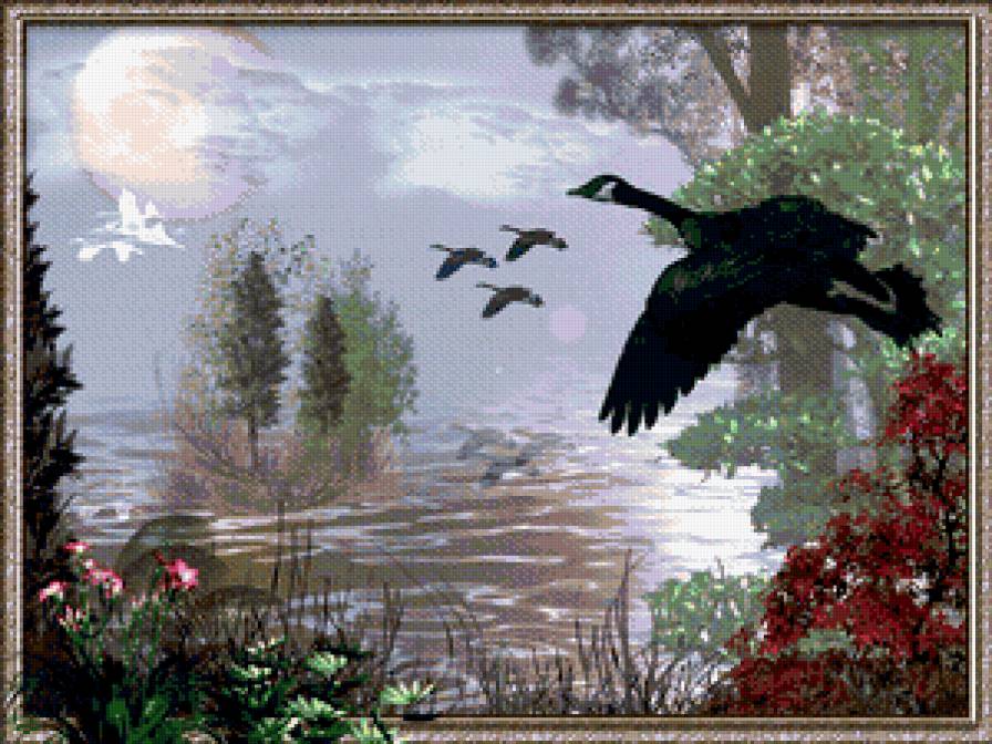 №315812 - птицы, пейзаж, озеро, природа - предпросмотр