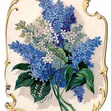 Схема вышивки «№315818»