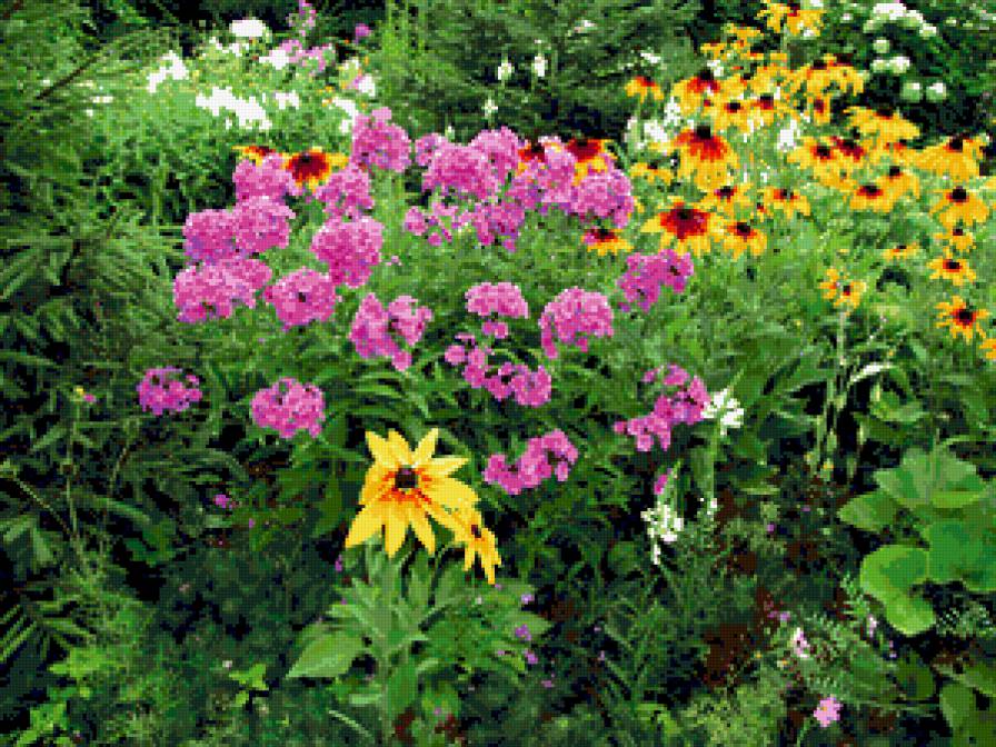 №315822 - цветник, сады, цветы - предпросмотр