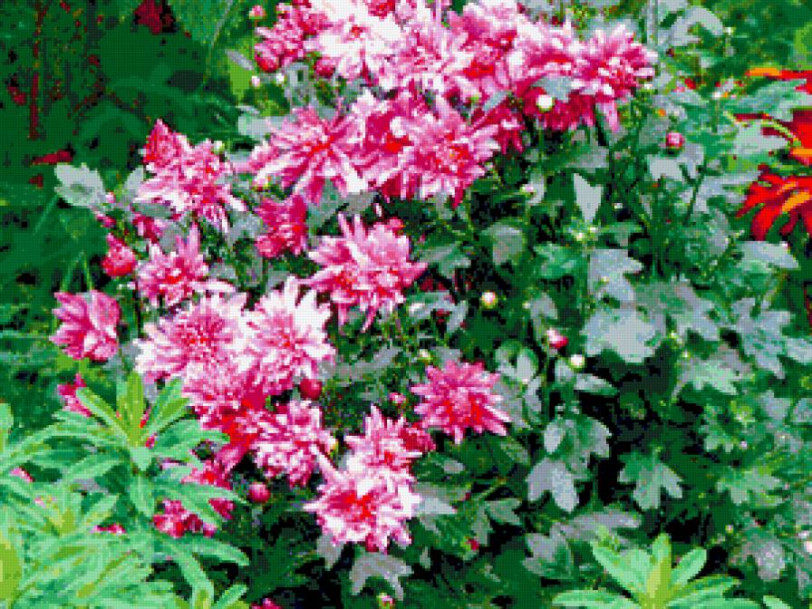 №315831 - цветы - предпросмотр