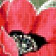 Предпросмотр схемы вышивки «маки» (№315842)