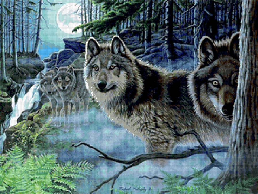 волки - волк, стая, туман, волки - предпросмотр