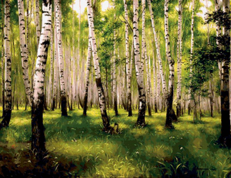 березовая роща - предпросмотр