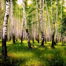 березовая роща