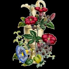 Схема вышивки «Букет-2»