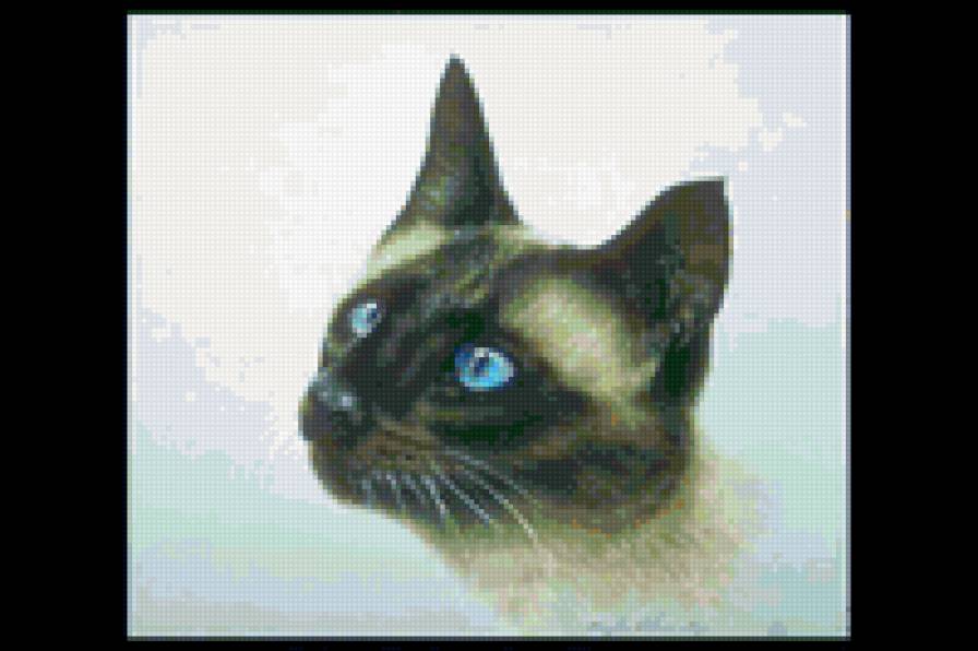 №315909 - предпросмотр