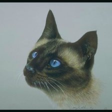 Схема вышивки «№315909»