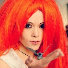 Схема вышивки «Нуки»