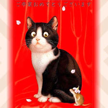 Схема вышивки «Макото Мураматсу.»