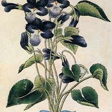 Схема вышивки «О.Каню.»