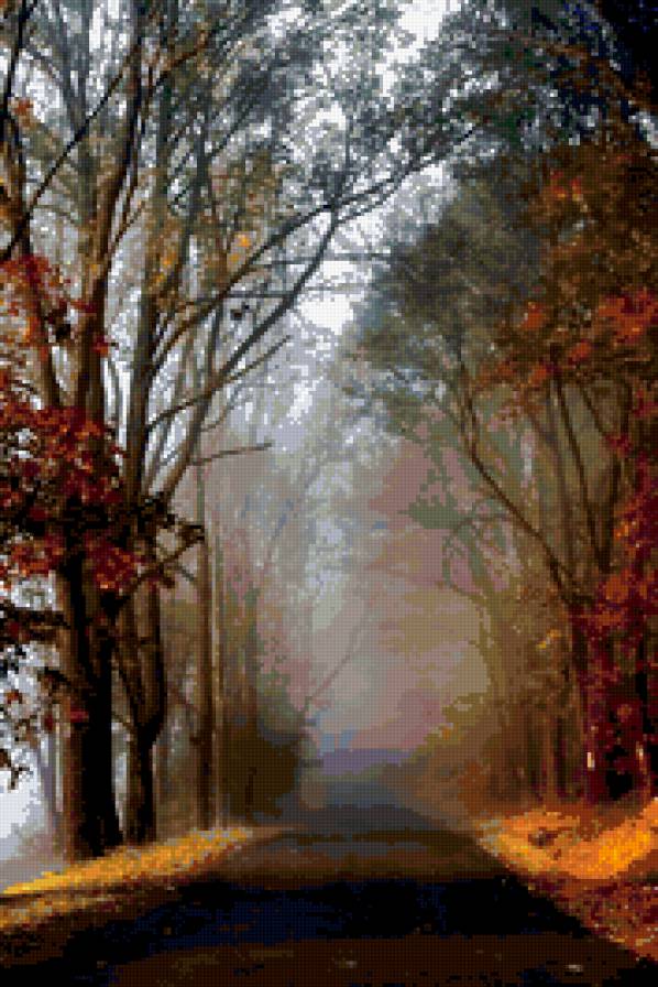 Туманный лес - лес, природа, туман - предпросмотр