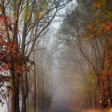 Схема вышивки «Туманный лес»