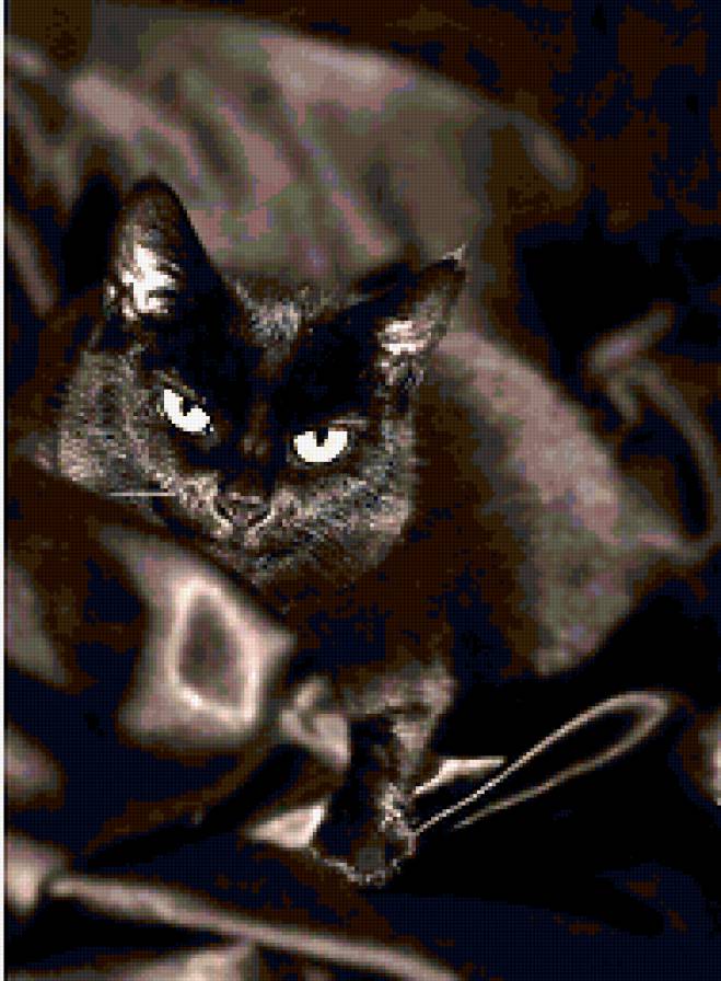 Черная на черном - кошка - предпросмотр