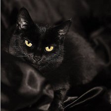 Схема вышивки «Черная на черном»