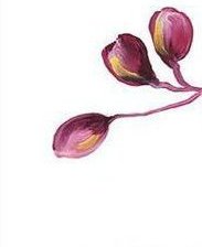 Схема вышивки «4»