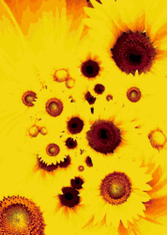 Подсолнухи - подсолнухи, цветы - предпросмотр