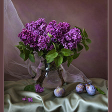 Схема вышивки «№316240»