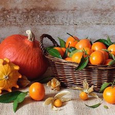 Схема вышивки «№316248»