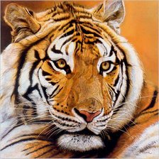 Схема вышивки «№316279»