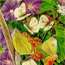 Схема вышивки «бабочки»