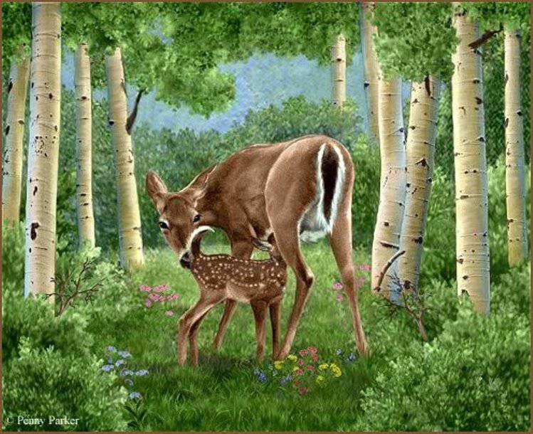 березовый край - картина - оригинал