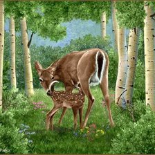 березовый край