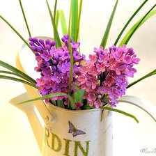 Схема вышивки «№316370»