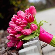 Схема вышивки «№316381»