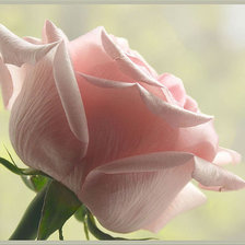 Схема вышивки «№316389»