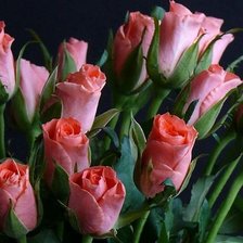 Схема вышивки «№316393»