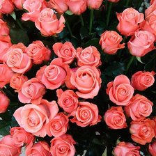 Схема вышивки «№316397»