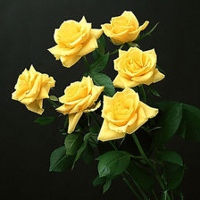 Схема вышивки «№316400»