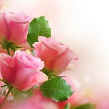 Схема вышивки «№316405»