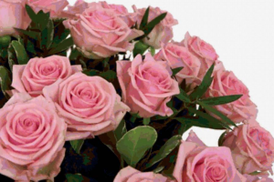 №316416 - предпросмотр